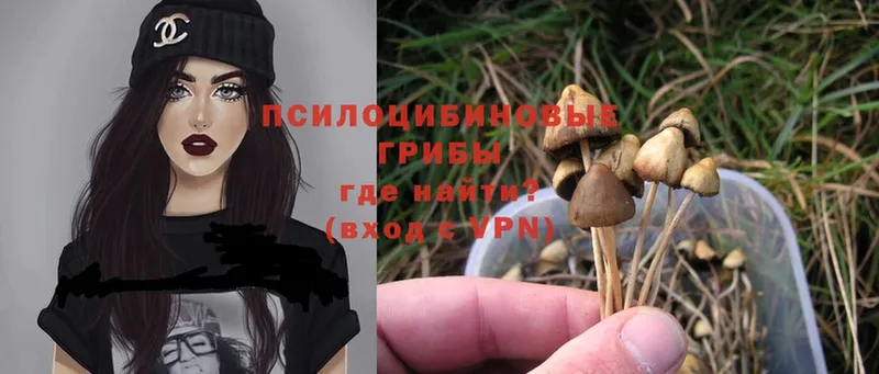 Псилоцибиновые грибы MAGIC MUSHROOMS  где можно купить   Енисейск 